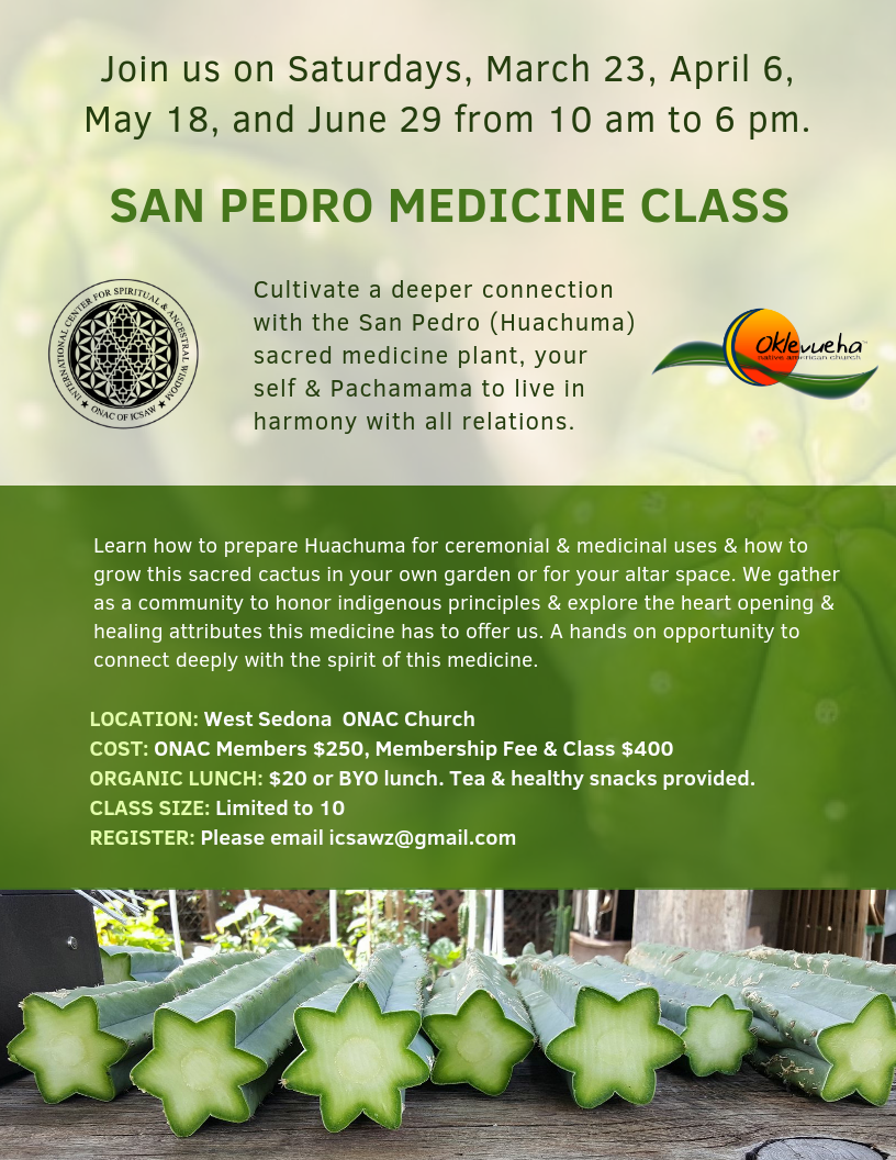 1.1 2019 SAN PEDRO MEDICINE CLASSES