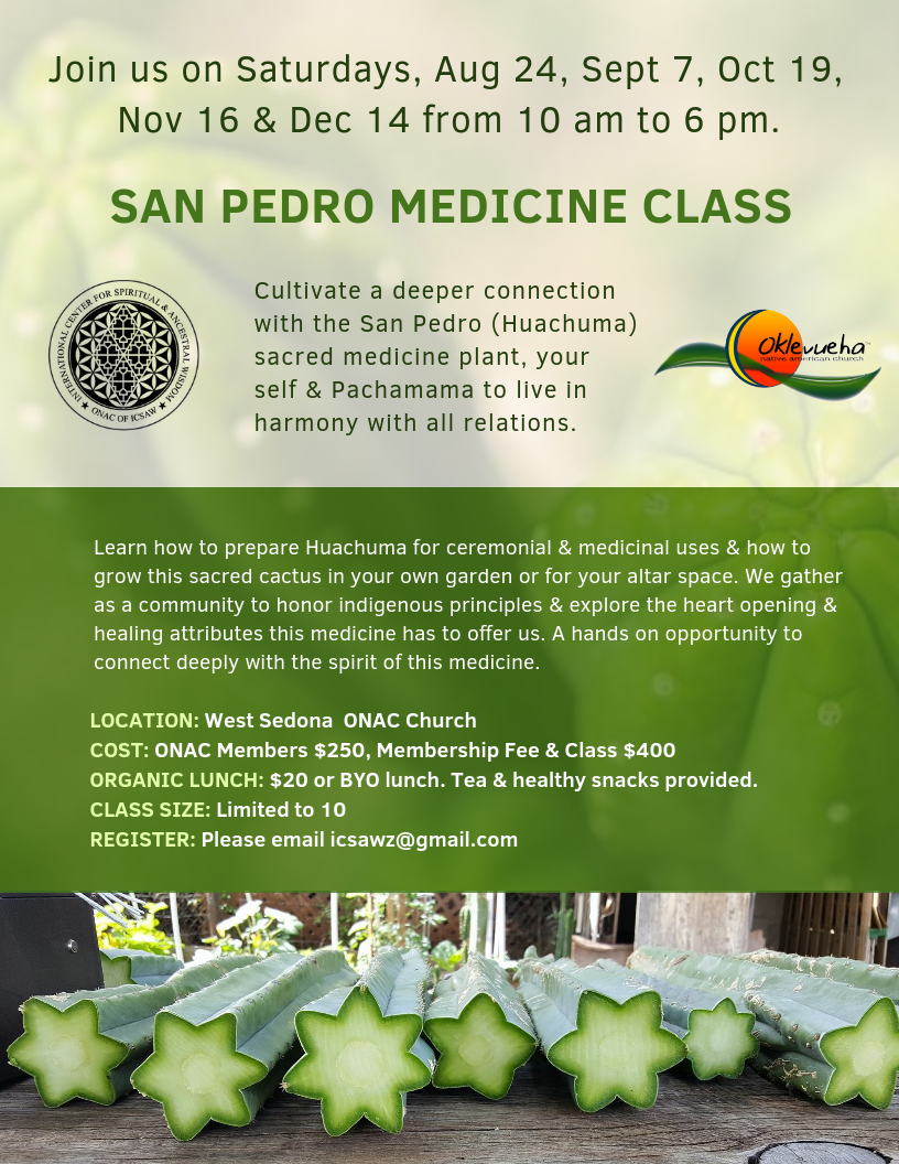 2.1 2019 SAN PEDRO MEDICINE CLASSES